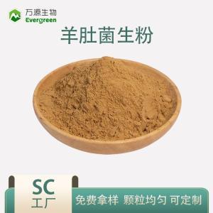 羊肚菌 森林中的珍稀美味與健康寶藏