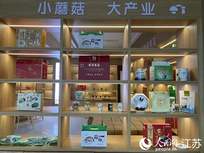 小菌菇做成大產(chǎn)業(yè)，“菌菇之城”如何蝶變？——以羊肚菌為例